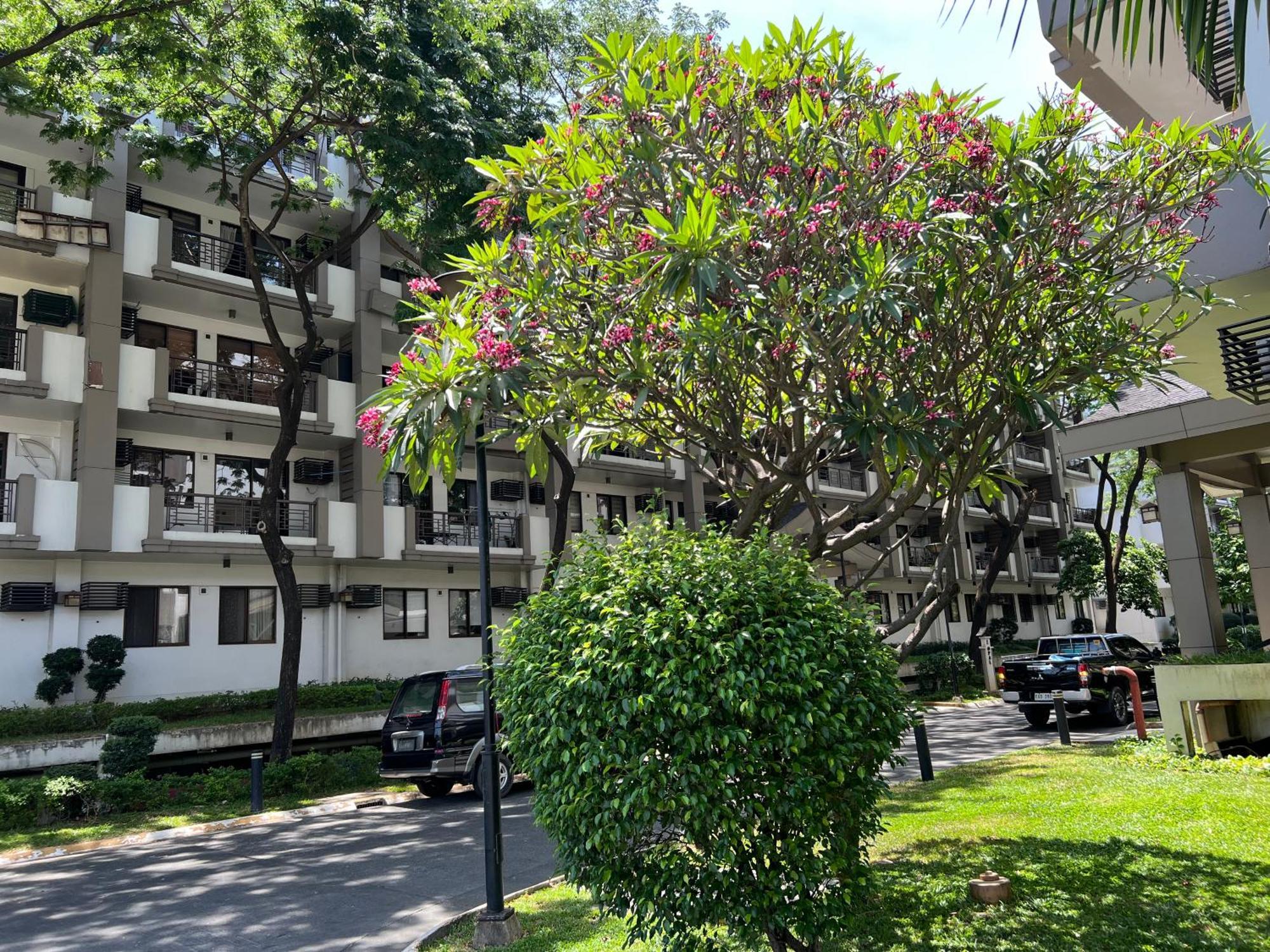 Stunning 2Br Apt, 65 Sq M Netflix At Rosewood Pointe Residences Near Bgc Manila Zewnętrze zdjęcie